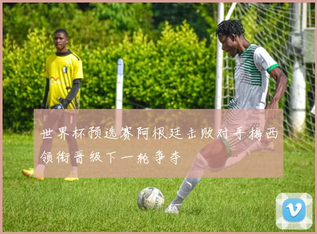 世界杯预选赛阿根廷击败对手梅西领衔晋级下一轮争夺