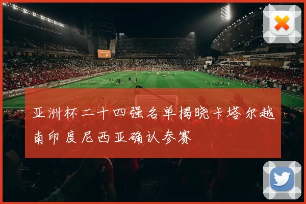 亚洲杯二十四强名单揭晓卡塔尔越南印度尼西亚确认参赛