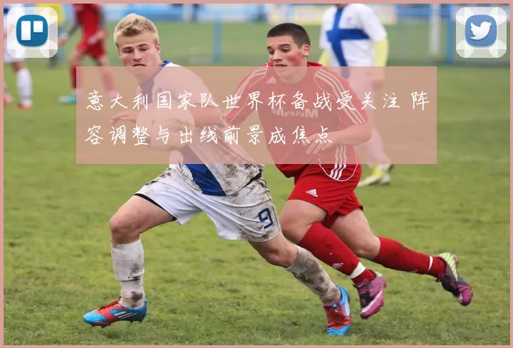 意大利国家队世界杯备战受关注 阵容调整与出线前景成焦点