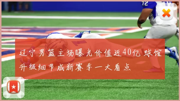 辽宁男篮主场曝光价值近40亿 球馆升级细节成新赛季一大看点
